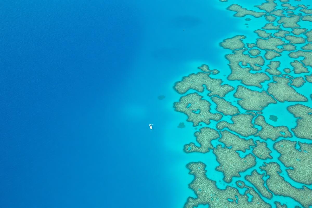 Reef & Rainforest: Tropical North QLD